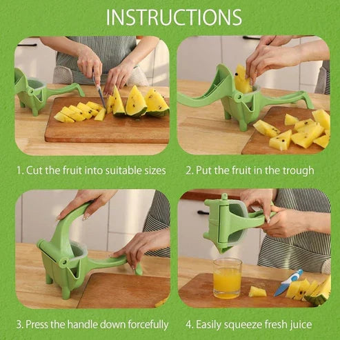 Manual Fruit Press