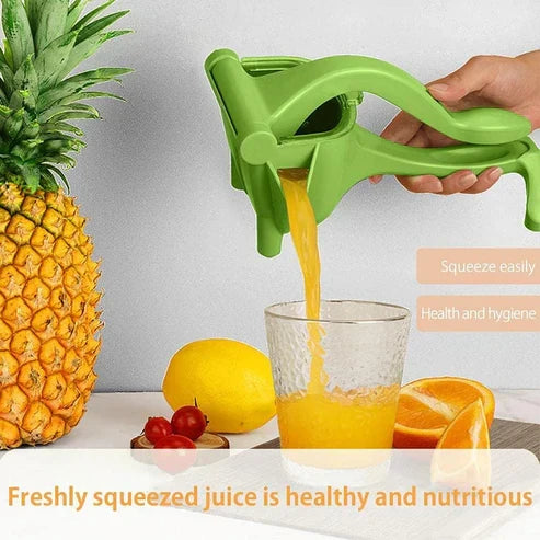 Manual Fruit Press